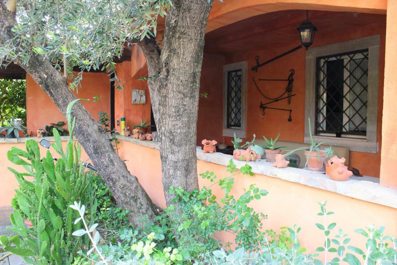 B&B Country Lemon Santa Marta Dış mekan fotoğraf