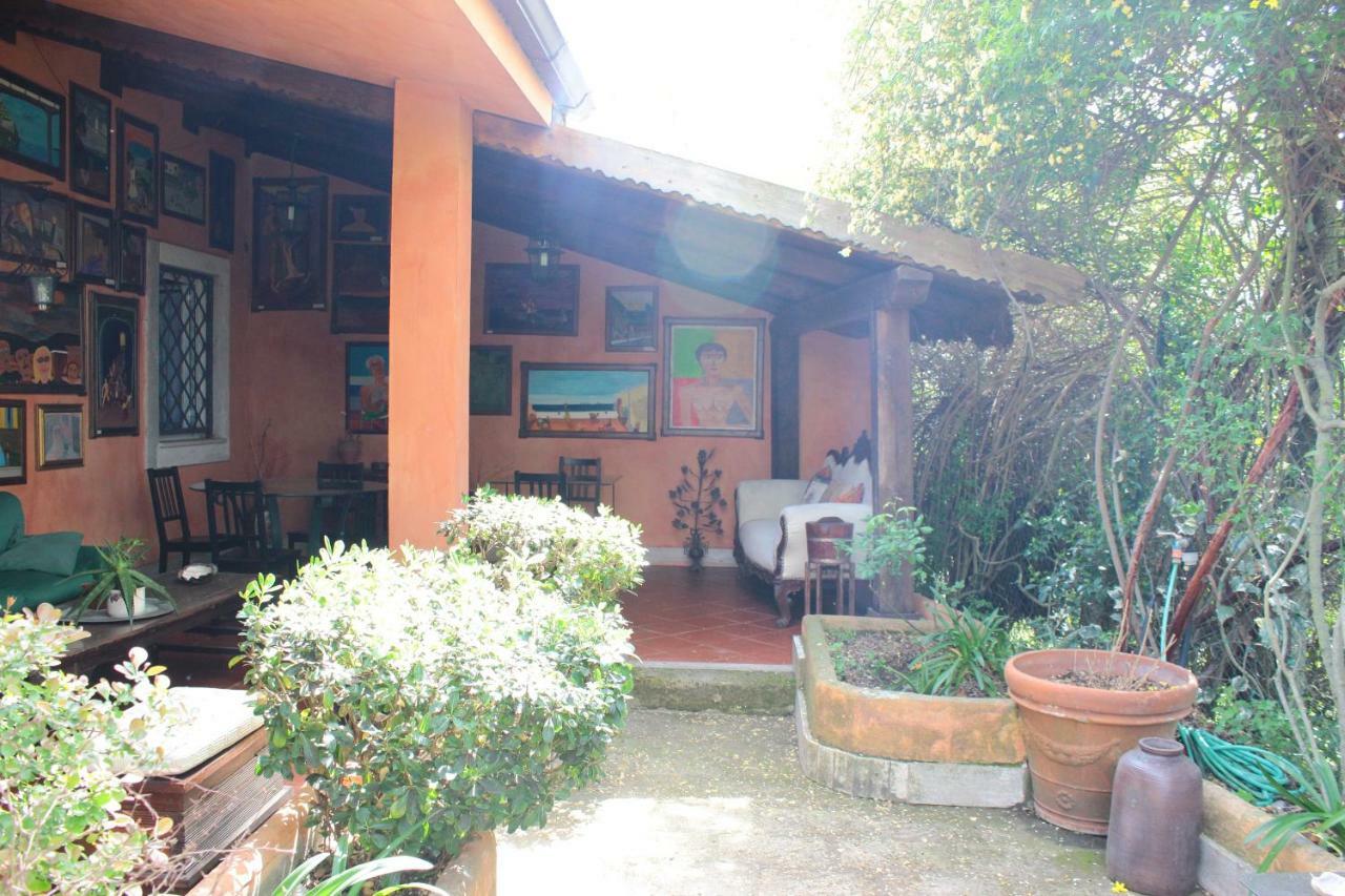B&B Country Lemon Santa Marta Dış mekan fotoğraf