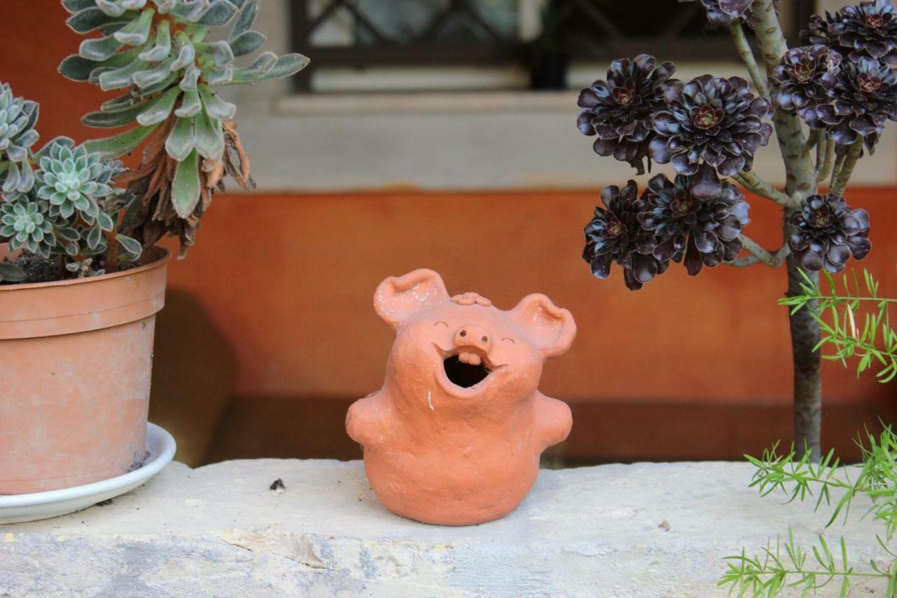 B&B Country Lemon Santa Marta Dış mekan fotoğraf